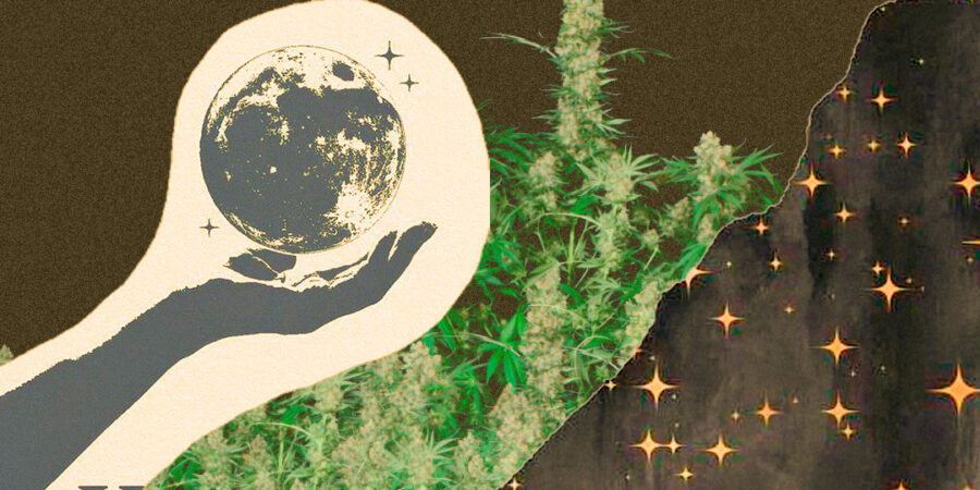 Calendário Lunar: Segredo Revelado para o Cultivo de Cannabis de Qualidade