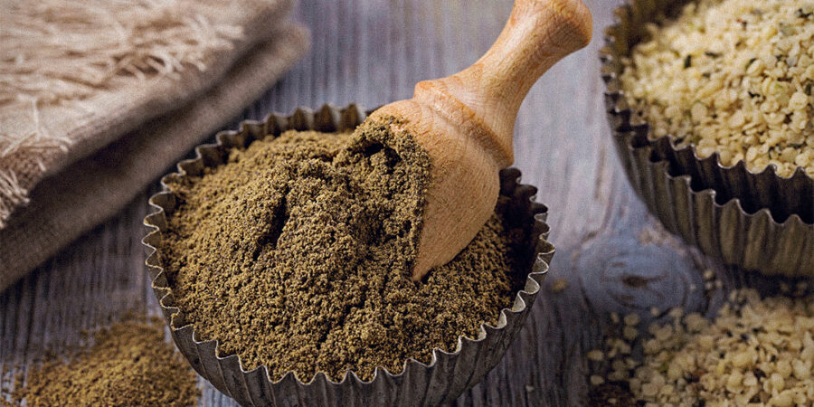 Hemp Protein: a nova alternativa saudável ao Whey Protein