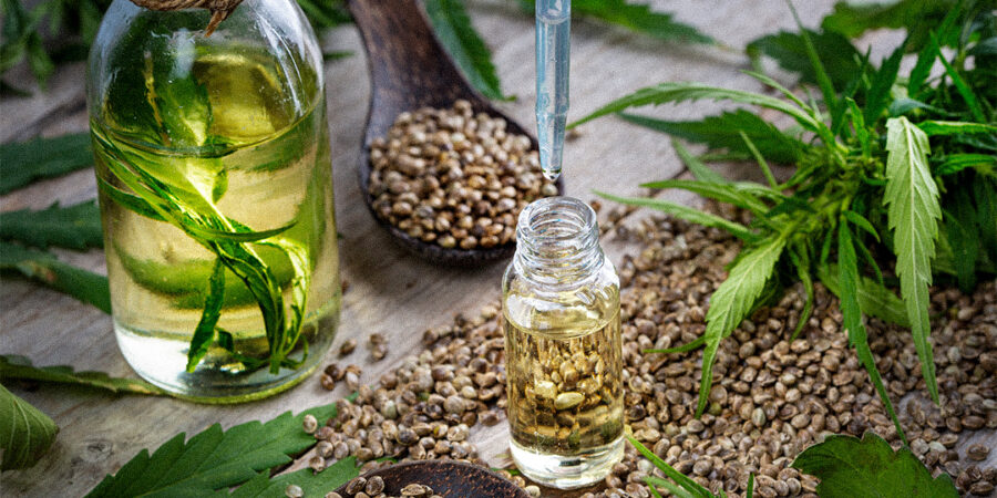 Hemp Protein: a nova alternativa saudável ao Whey Protein