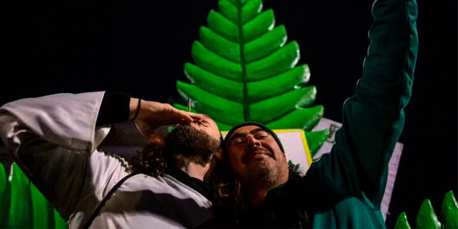 Legalização da Cannabis pelo mundo: por que o Brasil não pode ficar para trás?