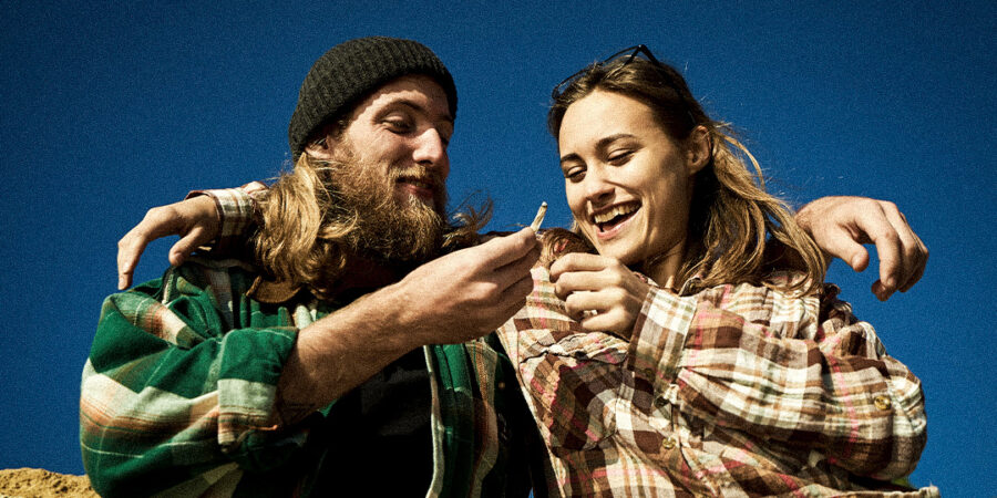 Cura da Cannabis: o segredo para flores de qualidade e potência