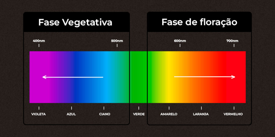 Espectro de cor no cultivo da Cannabis: a revolução dos LEDs Full Spectrum